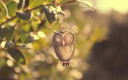 Metal Owl Bird Branch Leaves Macro Photo