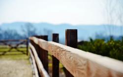 Close-Up Fence Gate Photo