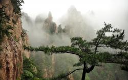 Foggy valley scenery