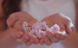 Girl Hands Flowers Photo