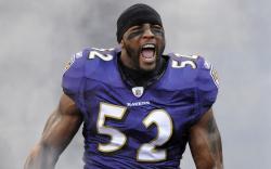 Ray Lewis Wallpaper HD