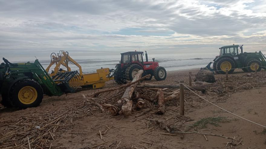 La diputación de Valencia limpia las playas de las cañas de la DANA