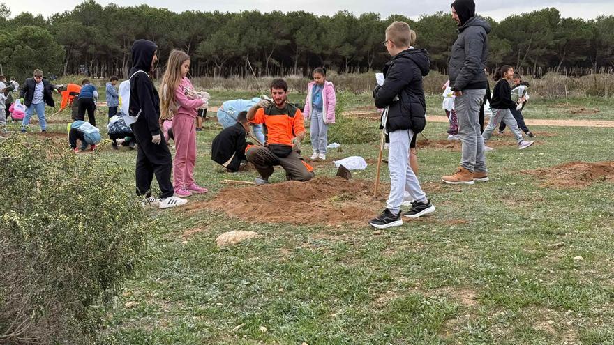 Mil escolares disfrutan de la experiencia de plantar un árbol en el parque natural de Torrevieja