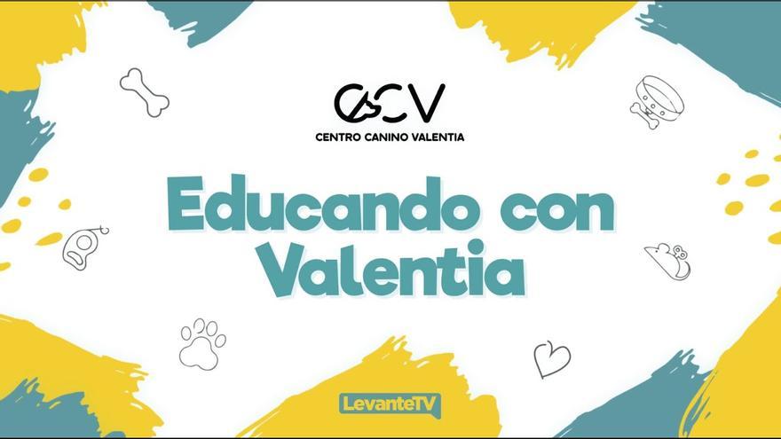 Educando con Valentia - 28/02/25