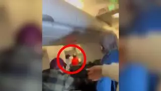 Pánico en un vuelo Madrid-Caracas: un pasajero intenta abrir la puerta del avión y un tripulante resulta herido reduciéndole