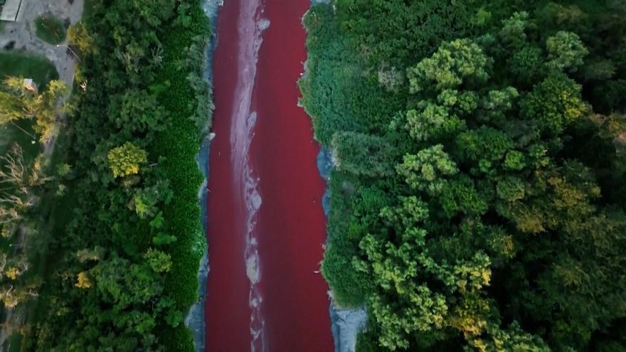 Un &#039;río de sangre&#039; aparece en Buenos Aires, Argentina