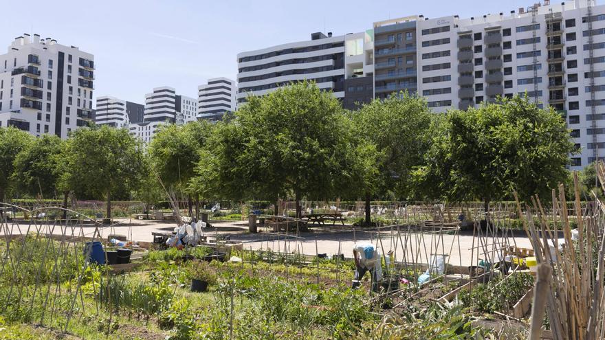 València descarta urbanitzar l’horta alliberada per la nova llei autonòmica