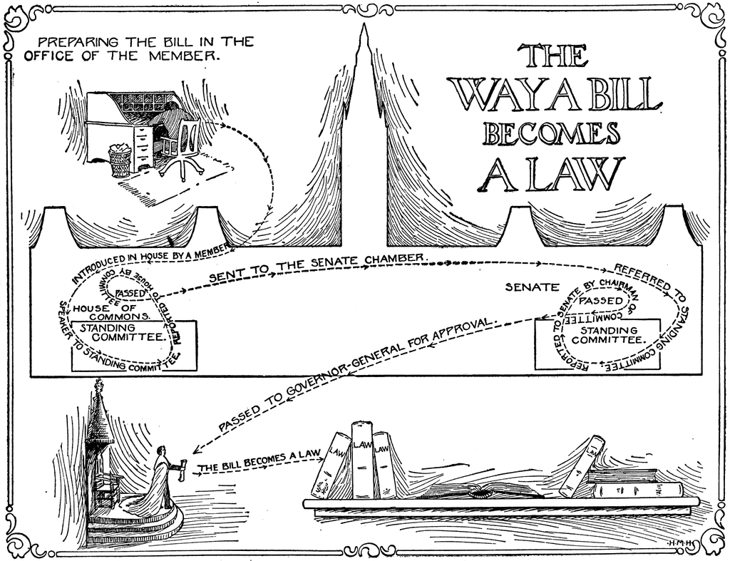 How A Bill Becomes A Law Cartoon