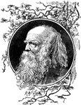 William Cullen Bryant (November 3, 1794 - June 12, 1878) was an American romantic poet, journalist, and long-time editor of the New York Evening Post.