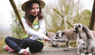 Belfast Zoo