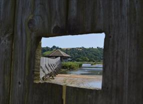 Seaton Wetlands