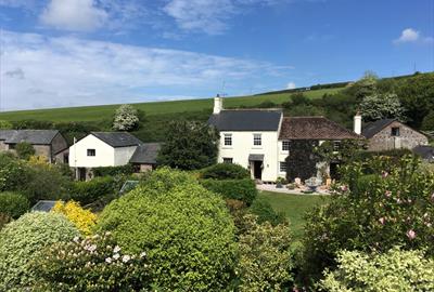 Dittiscombe Dog Friendly Holidays