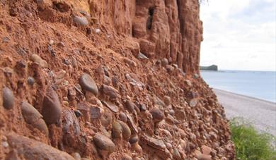 Budlaigh Salterton Cliffs-Richard Edmonds, Dorset