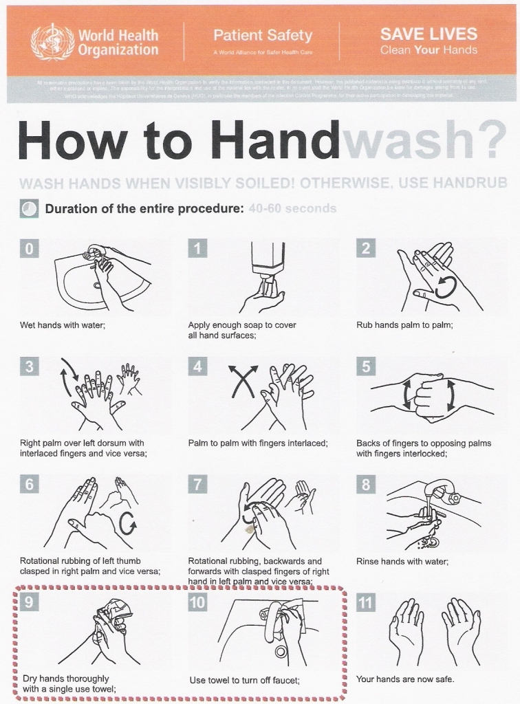 Hand Hygiene Steps Poster