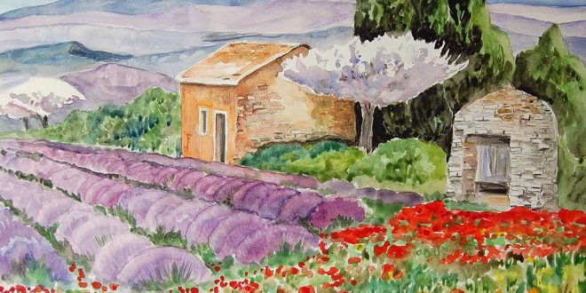 paysage-de-provence