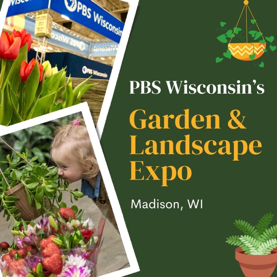 Madison Garden Expo 2024 - Dawn Mollee