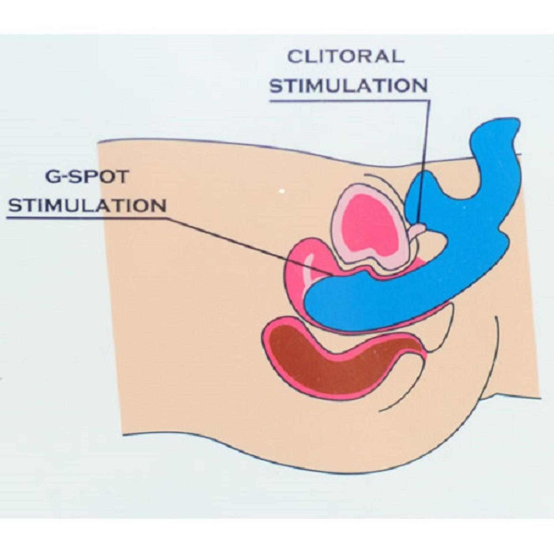 G Spot Diagram 7 Function Triple Probed G Spot Vibrator 18 Cm Clearance Sale