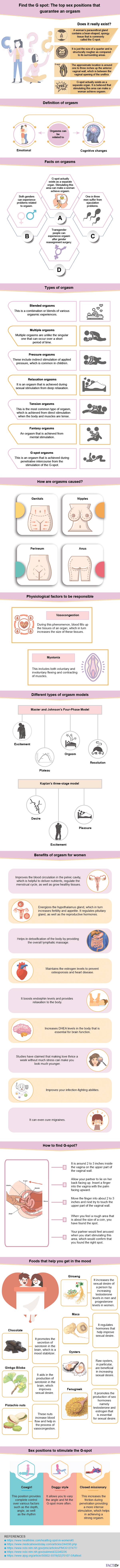 G Spot Diagram G Spot Anatomy Facts Meaning Definition Factdr