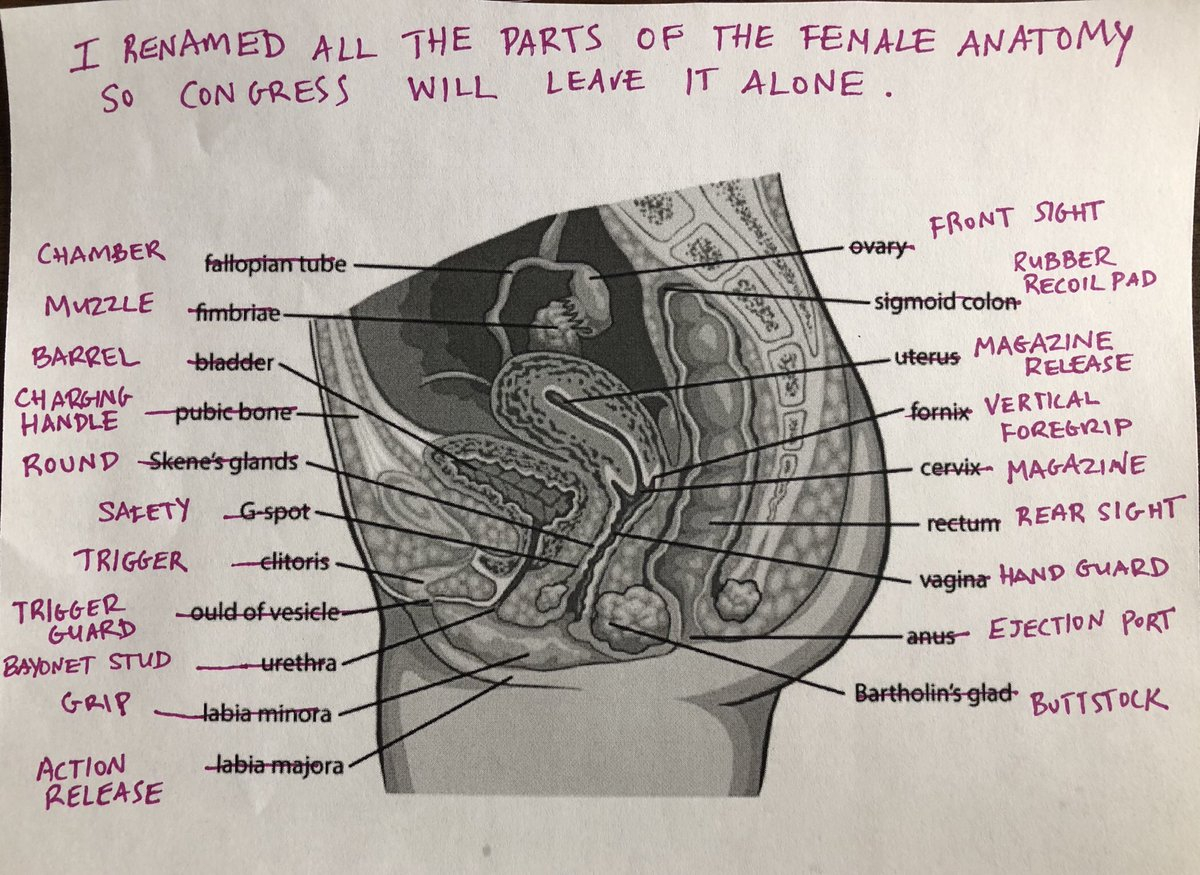 G Spot Diagram One Hot Mess Ak On Twitter