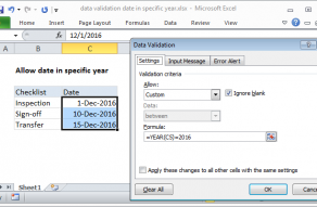 Excel formula: Data validation date in specific year