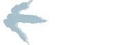 Exopetguides logo