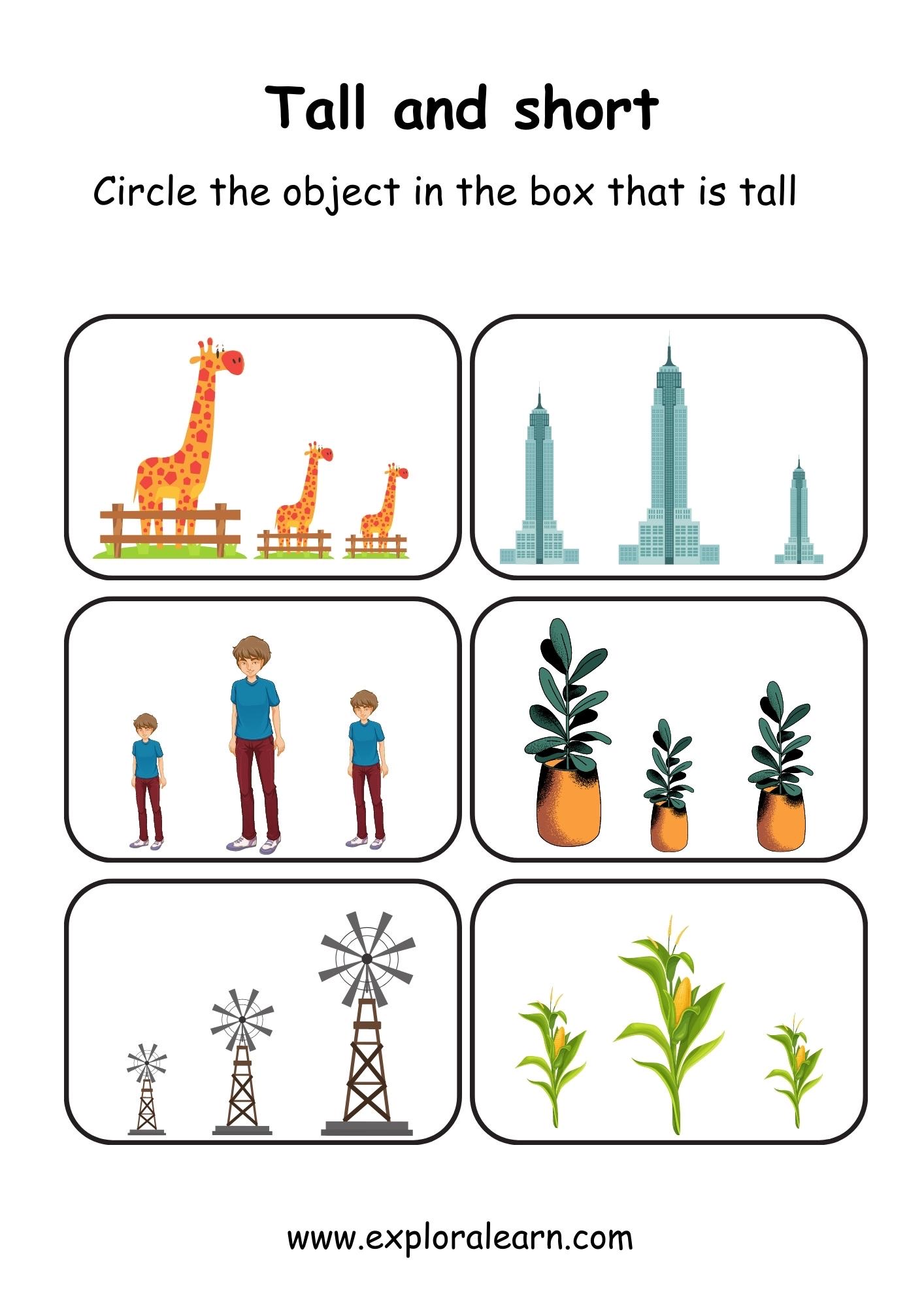 Tall and Short Comparison Worksheets for Preschool and Kindergarten 2 ...