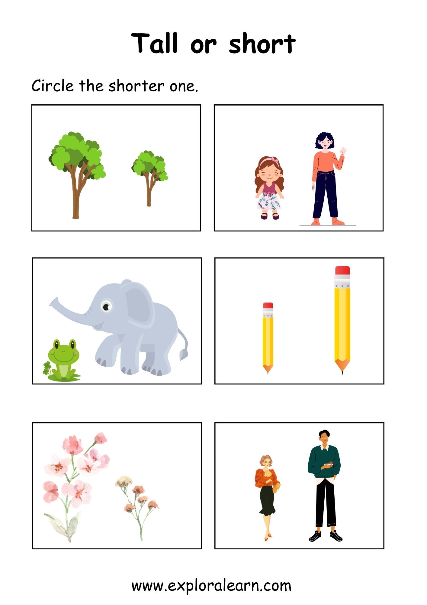 Tall and Short Comparison Worksheets for Preschool and Kindergarten 2 ...