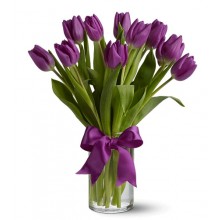 Purple Tulips - 12 Stems