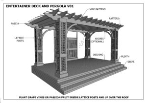 Outdoor Entertainment Deck Grapevine Pergola V01