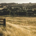 Countryside with a wooden fence