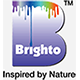 Brighto-Logo