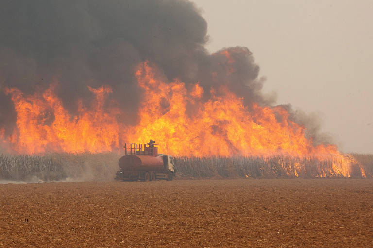 SP tem 15 mil agentes em campo contra incêndios que já duram um mês