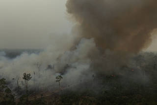 SECA QUEIMADA RONDONIA