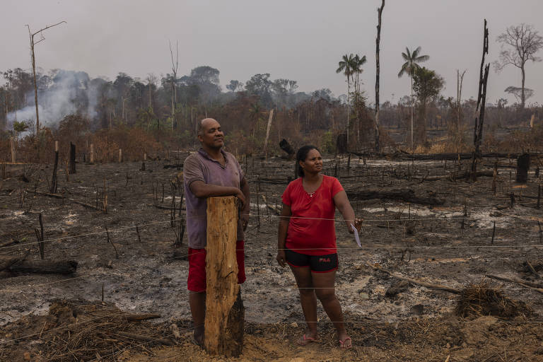 Brasil sofre com queimadas e desinformação