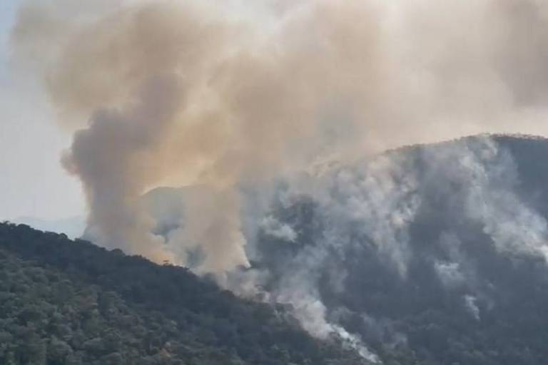 São Paulo tem cinco municípios com foco de incêndio nesta quarta (18)