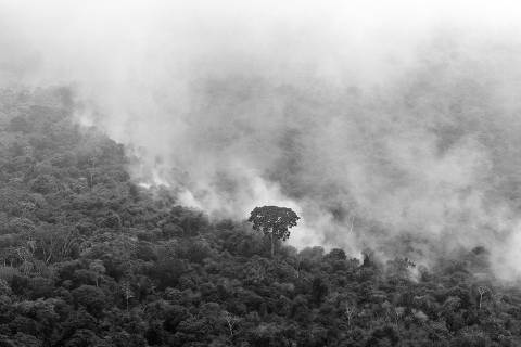 O fogo e o risco de savanização amazônica