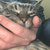 gary_the_cat thumbnail