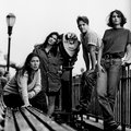 The Breeders image