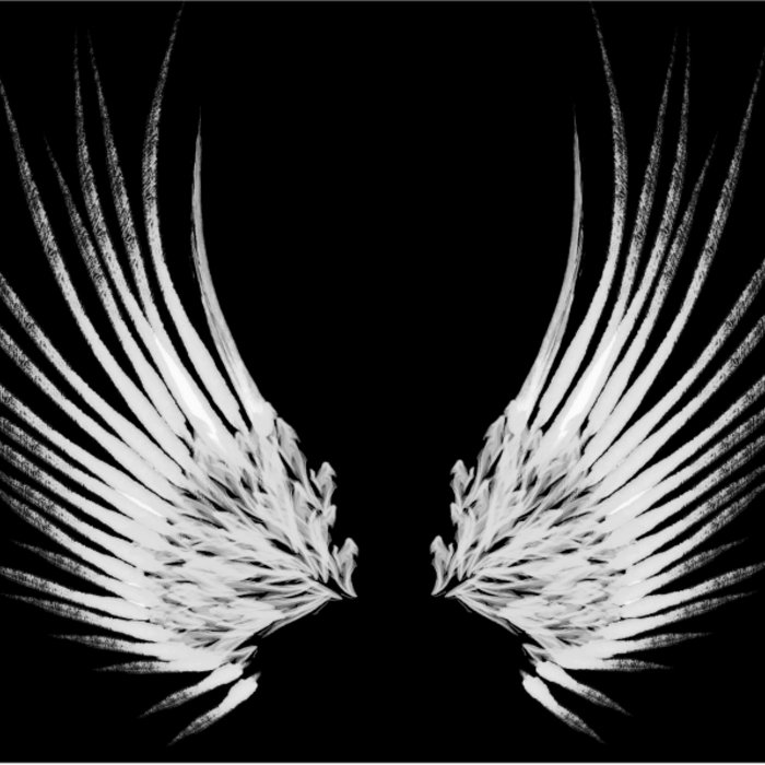 Icarus wings | florian thery