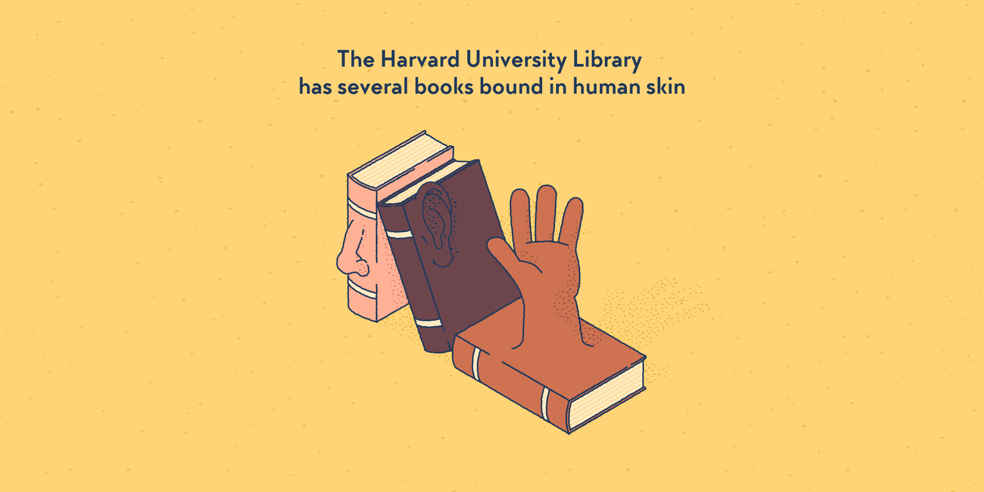 Harvard University Library Books Bound In Human Skin