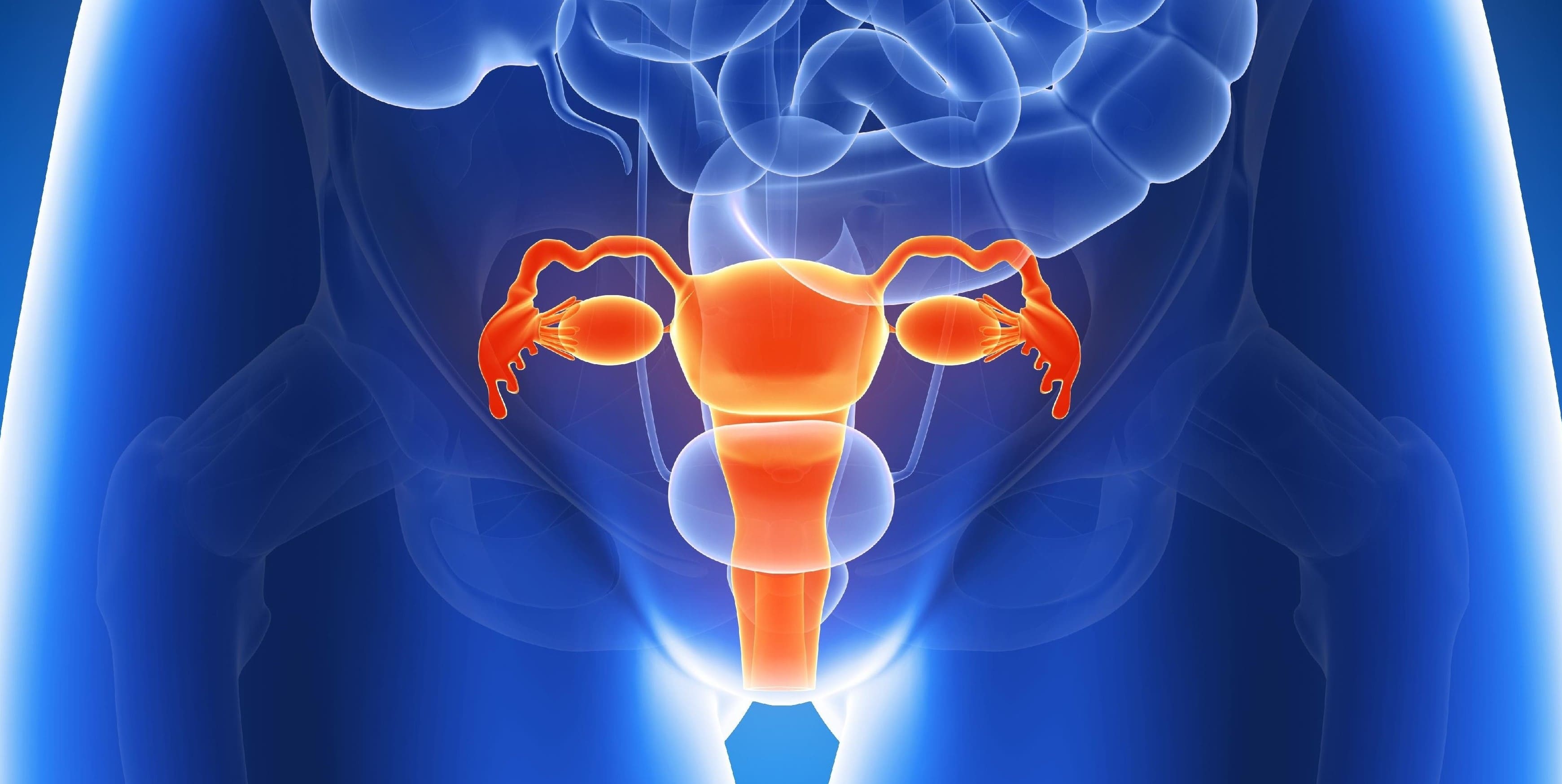 20 Mind-blowing Facts About Uterus (Womb) - Facts.net