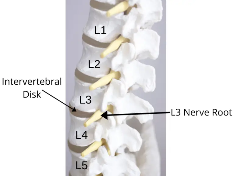 7 Proven Pinched Nerve Exercises (Lower Back Pain Relief) - Facts & Physio