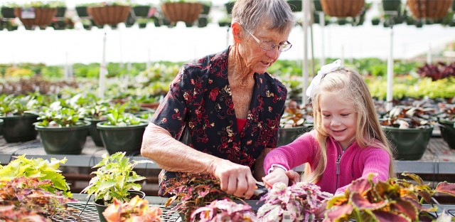 elderly woman helping young girl with plants in a greenhouse