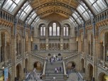 Natural History Museum