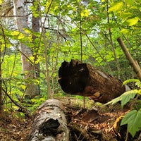 Photo taken at Grand Marais RV Park &amp;amp; Campground by Randy L. on 7/3/2021