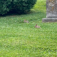 Photo taken at Stonewall Jackson Memorial Cemetery by Len P. on 6/7/2023