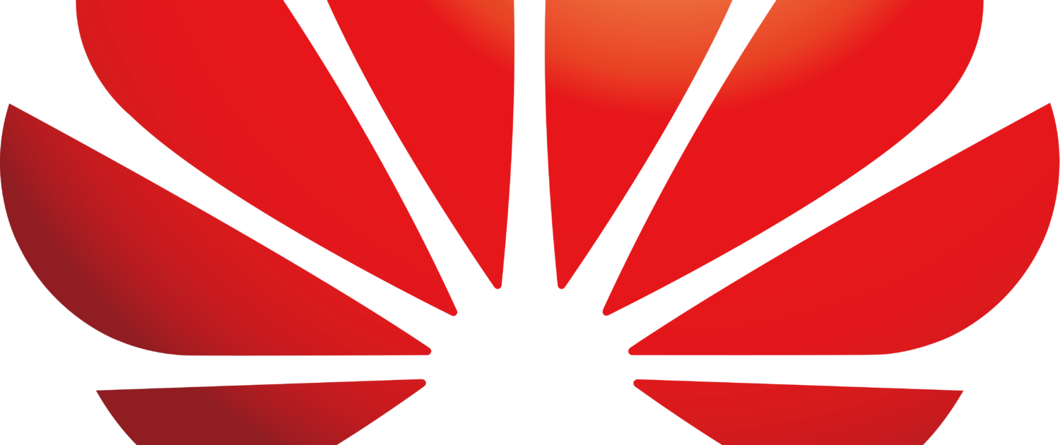 A Red And Black Sunburst