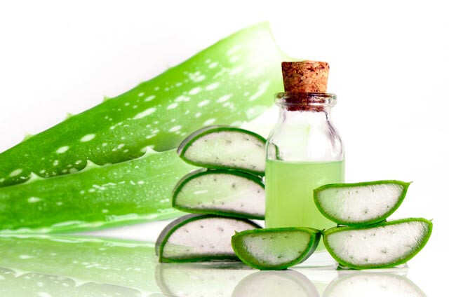 Aloe vera Tips for hair