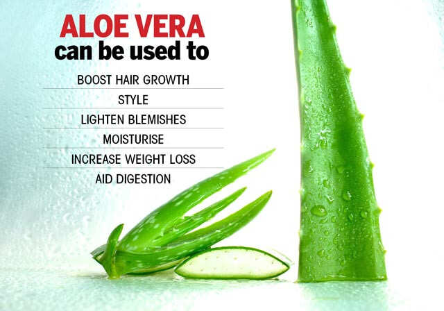 Aloe Vera Uses For Hair, Skin, Health And Weight Loss Infographic