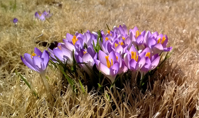 Celebrating Spring, the Seasons, and the Sun in China